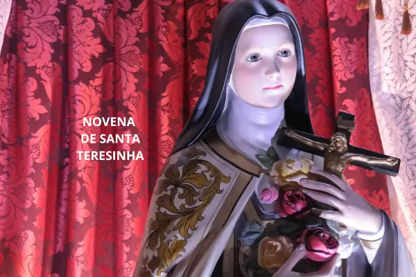 NOVENA de SANTA TERESINHA